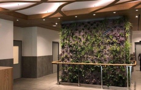 vertical gardens in the reception of ifas resident home cares