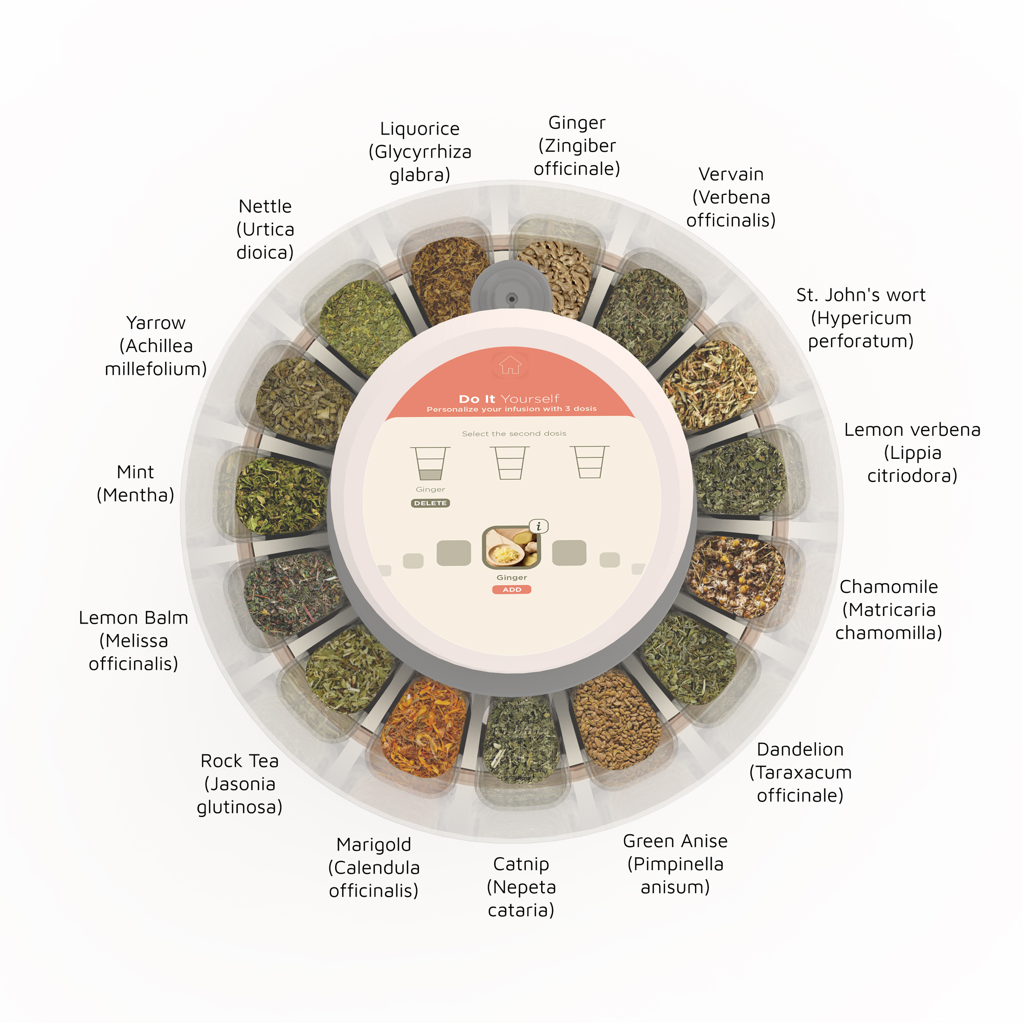 senda herbal options